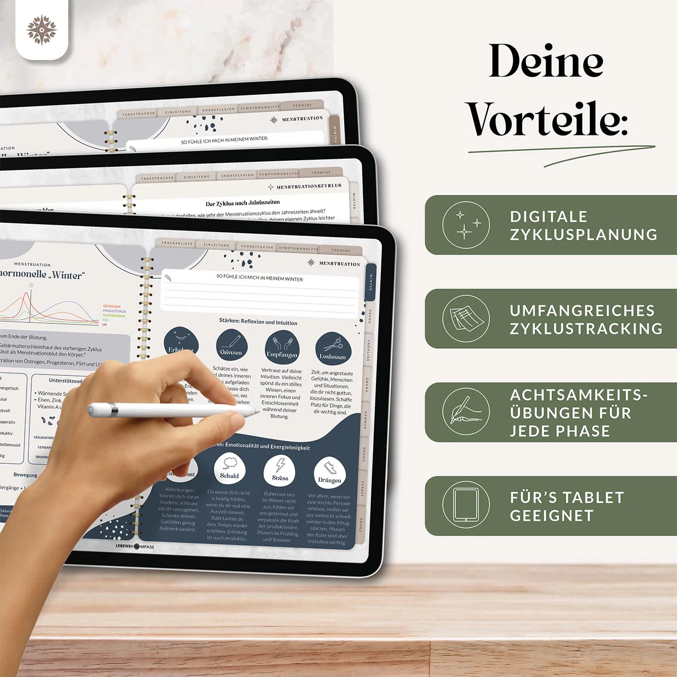 Digitales Zyklustagebuch - PDF mit Hyperlinks - Image 3